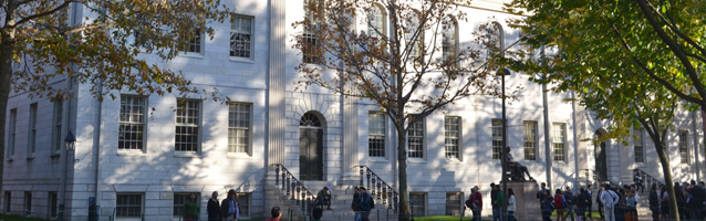 ���C���摜